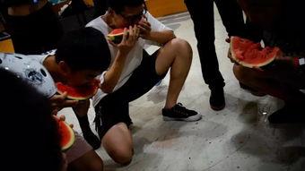 校园吃瓜的场面,揭秘校园里的八卦风云