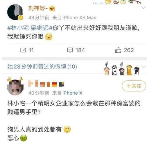 吃瓜事件林小宅,揭秘娱乐圈背后的真相与争议  第2张